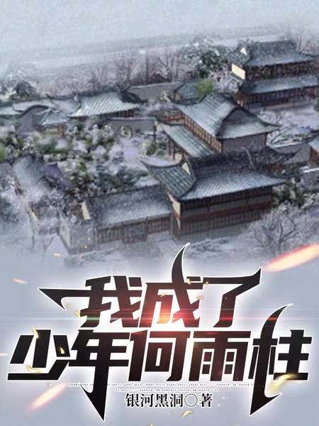 我成了少年何雨柱那夜丰狂