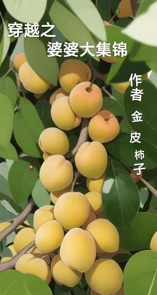 穿越之婆婆大集锦TXT百度资源共享